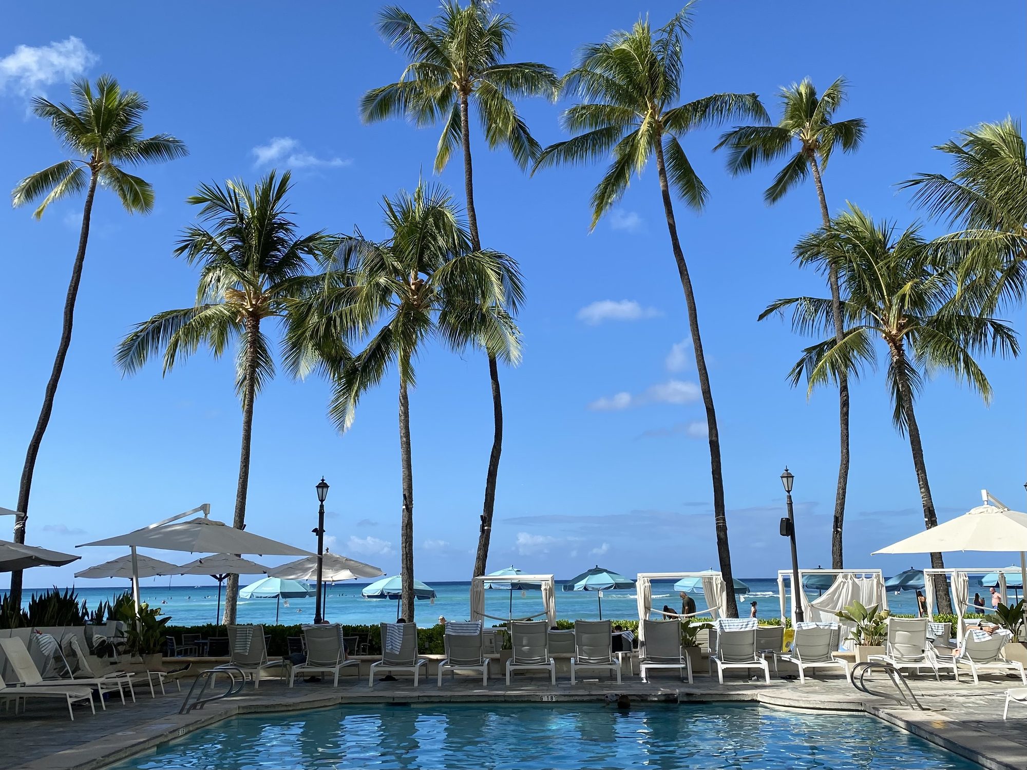Palm trees over a resort pool overlooking the ocean in Waikiki